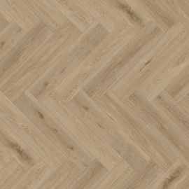 1707 Aquinoah nature HB